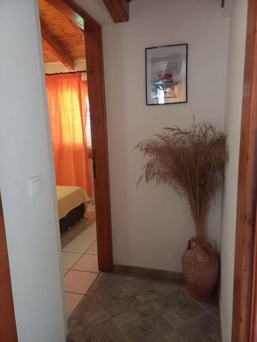 Δίχωρο Στούντιο Στον Κέντρο Του Αρμενιστή Apartment Armenistis  Exterior photo